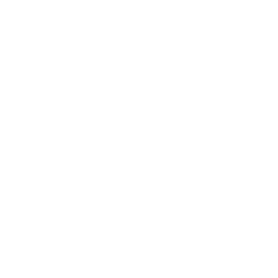 Le_développement_technologique_selon_Apple